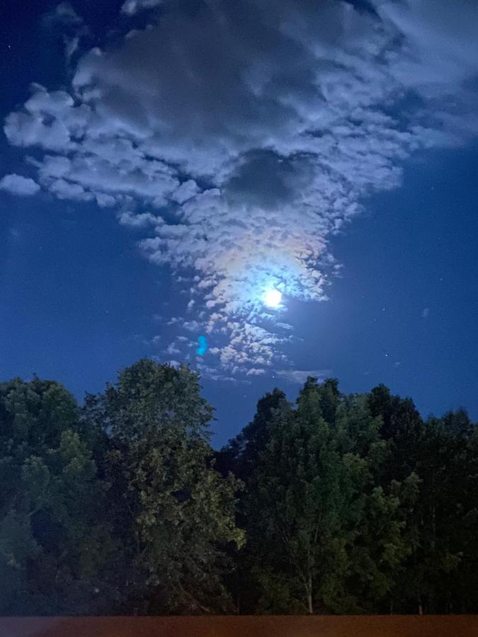 Fran Cove Motel Lake George Bagian luar foto